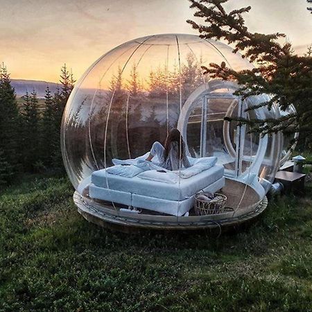 Buubble Hotel - Oelvisholt Selfoss Exteriér fotografie