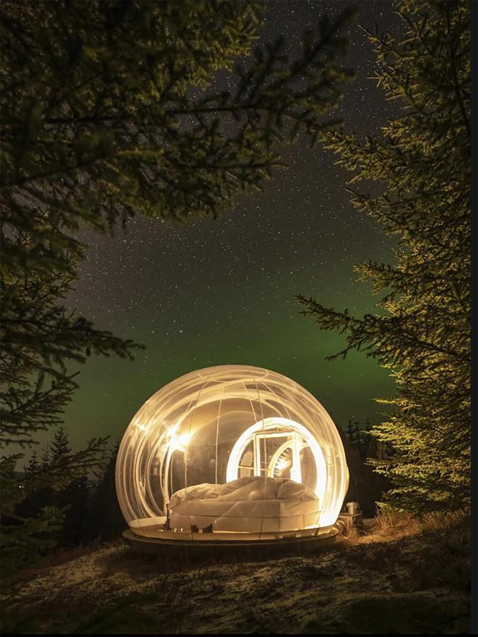 Buubble Hotel - Oelvisholt Selfoss Exteriér fotografie