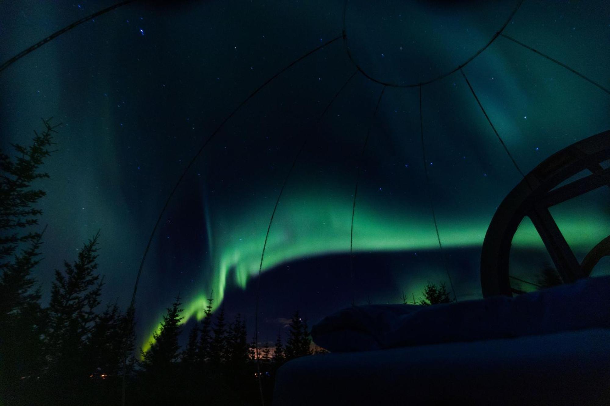 Buubble Hotel - Oelvisholt Selfoss Exteriér fotografie