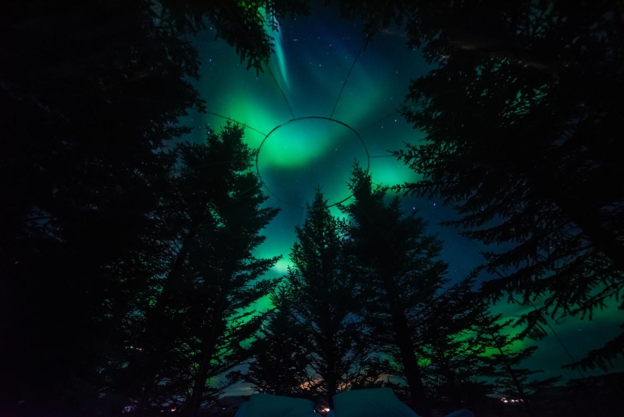 Buubble Hotel - Oelvisholt Selfoss Exteriér fotografie